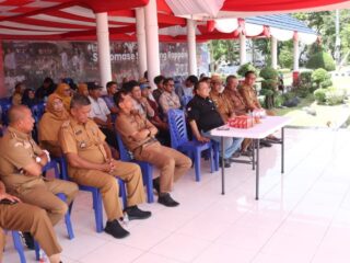 11 Ribu Bibit Kelapa Genjah Disalurkan ke Petani, Sidrap Siap Genjot Produktivitas