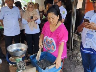 Peternak Itik Sidrap Sulap Ikan Sapu-Sapu Jadi Pakan Berdaya Hasil Tinggi