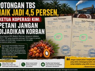 Koperasi KIM Protes Kenaikan Potongan TBS di PKS PT TWP, Minta Transparansi