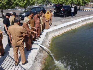 Kolam Kantor Bupati Jadi Lokasi Restocking, 10 Ribu Benih Nila Ditebar
