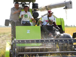 Bupati Sidrap: Hanya Seribu Hektare Terdampak El Nino
