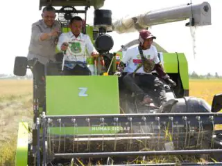 Bupati Sidrap: Hanya Seribu Hektare Terdampak El Nino