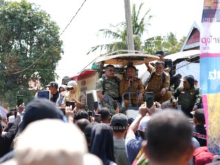 Sidrap Jaga Ketahanan Pangan, Panen Padaloang Alau Tembus 11,6 Ton Gabah per Hektare