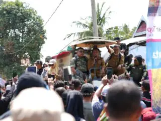 Sidrap Jaga Ketahanan Pangan, Panen Padaloang Alau Tembus 11,6 Ton Gabah per Hektare
